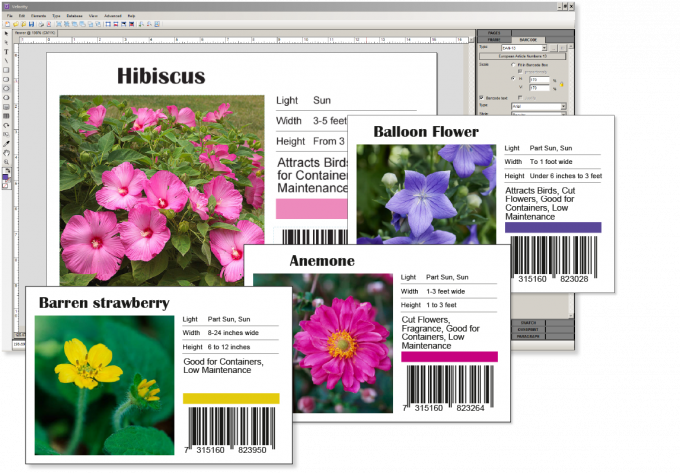 Harlequin RIP and Workflow 19
